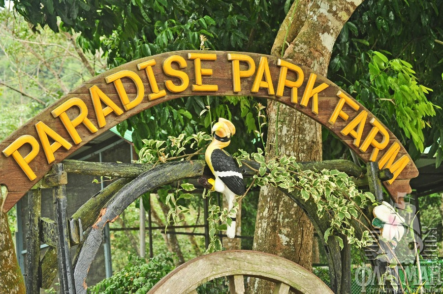   (Paradise Park Farm)