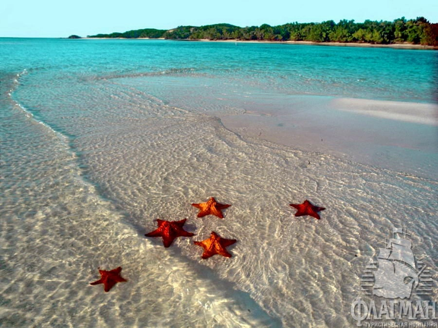 Вот такие они пляжи Варадеро