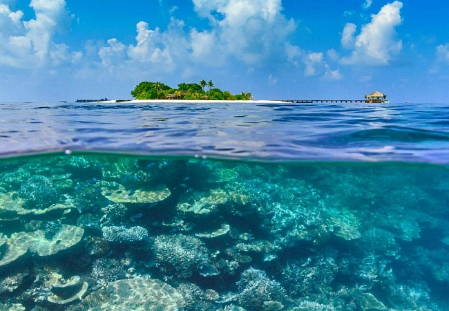 Подводный мир впечатлит даже самого искушенного аквалангиста