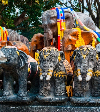 Поехали в Таиланд – отмечать день слона!