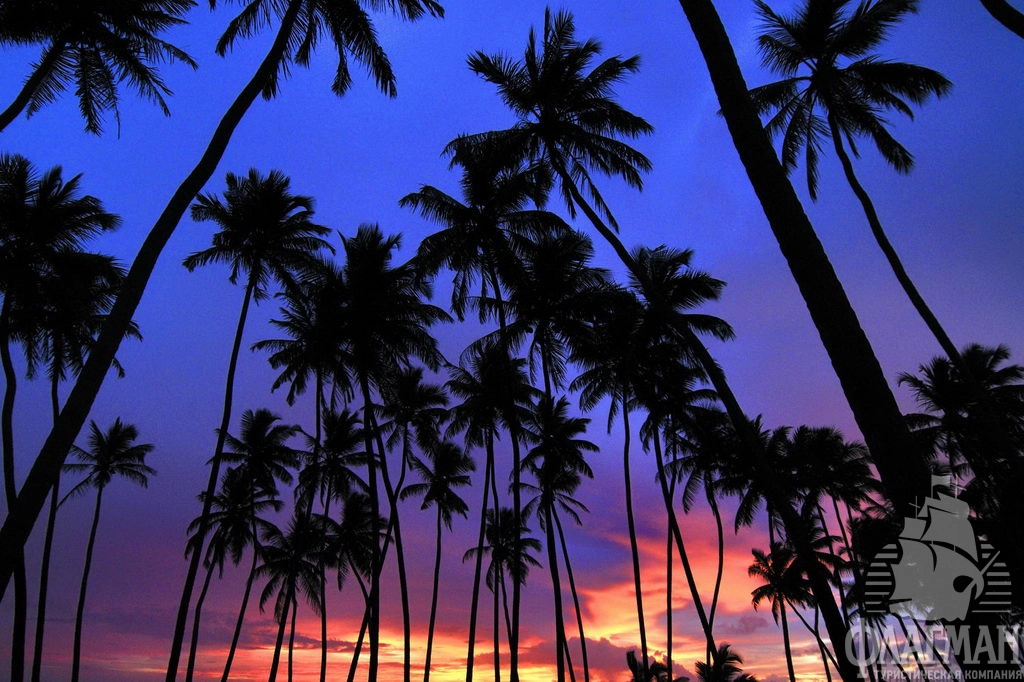 И закаты тут потрясающие.