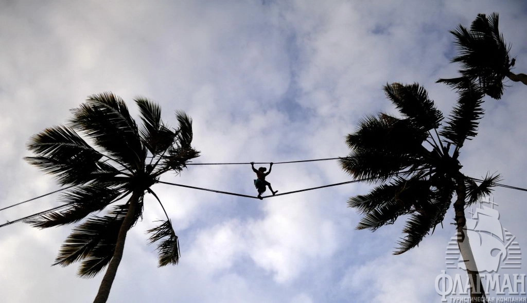 Местный канатоходец. Сбор кокосов.