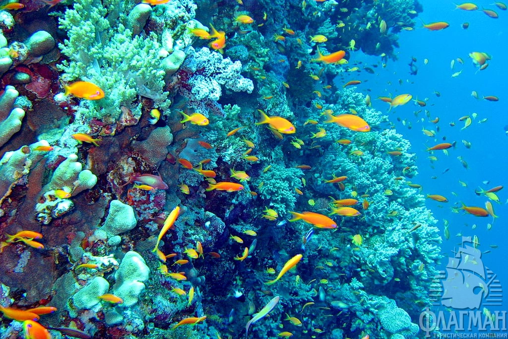 Главное достоинство Марса-Алама - нетронутая природа