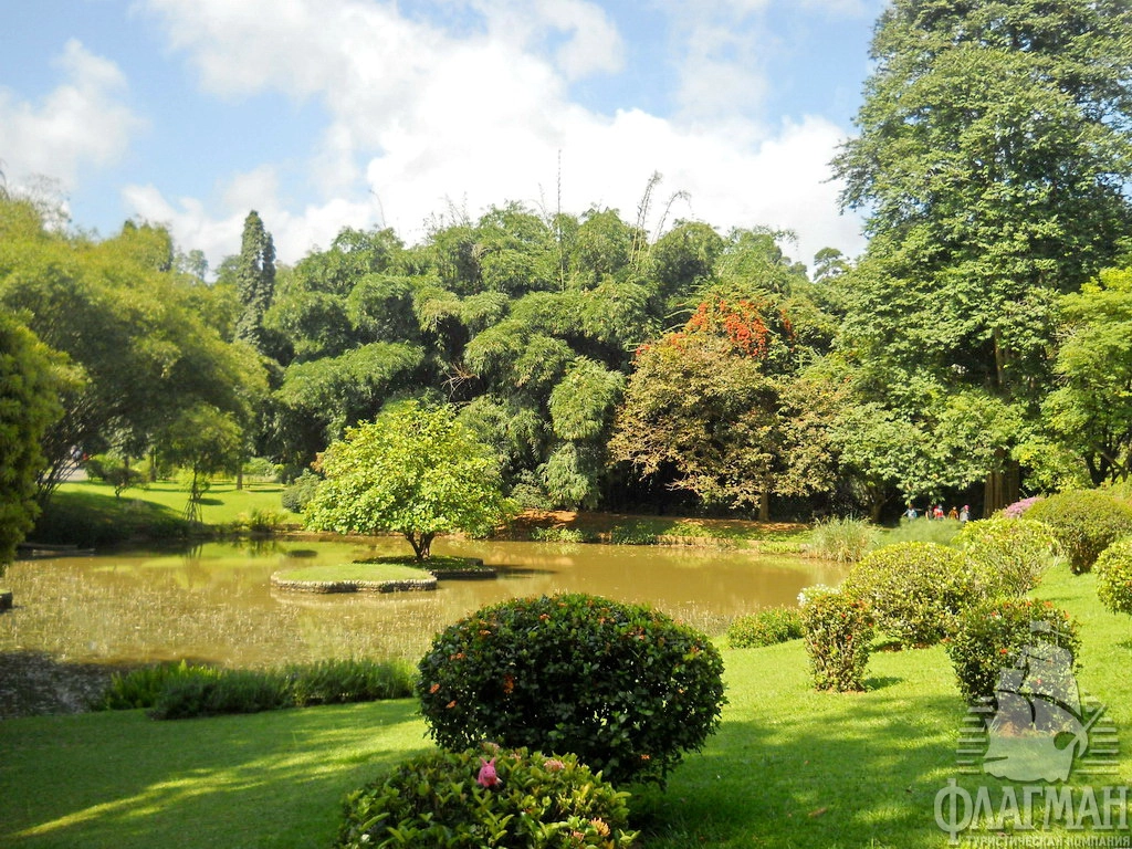  Королевский ботанический сад в Перадении