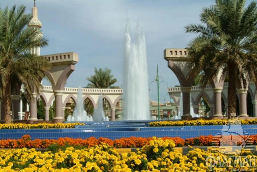 Оазис Аль-Айн