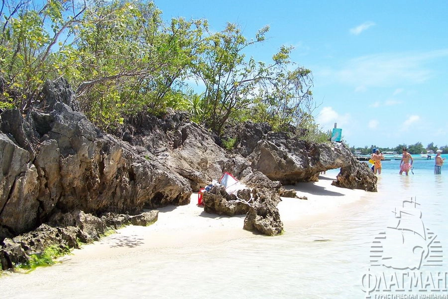 Берег острова Белых цапель.