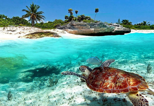 Одна из причин популярности Занзибара -  ваш отдых проходит на роскошных пляжах в окружении первозданной природы.