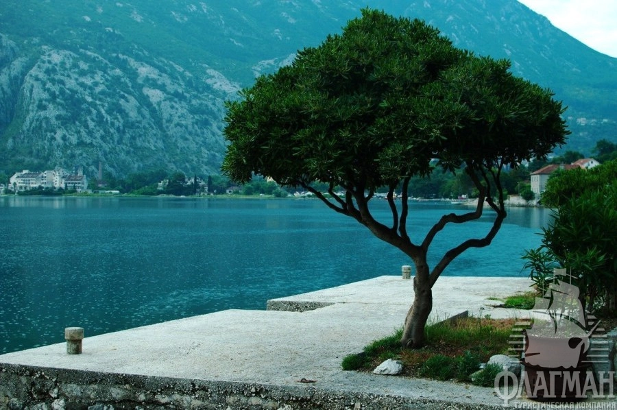 Черногория – маленькая жемчужина Адриатики