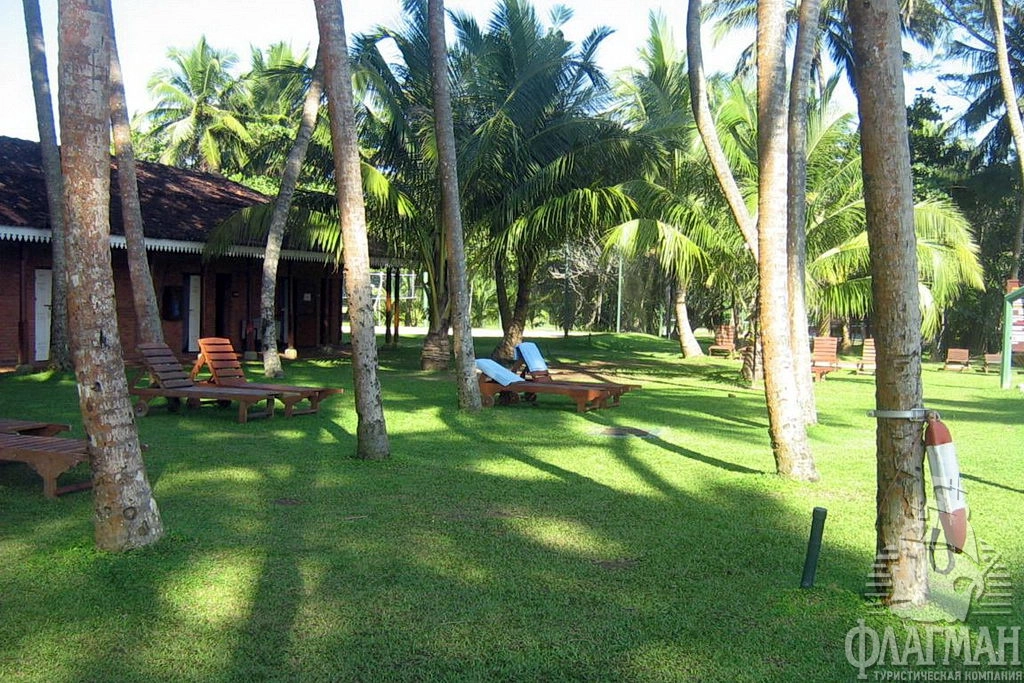 Котеджи в одном из отелей Бентоты.