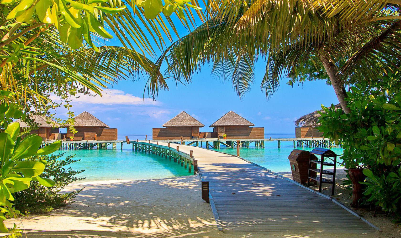 Мальдивы: специальный рейс на Новый год 2020.