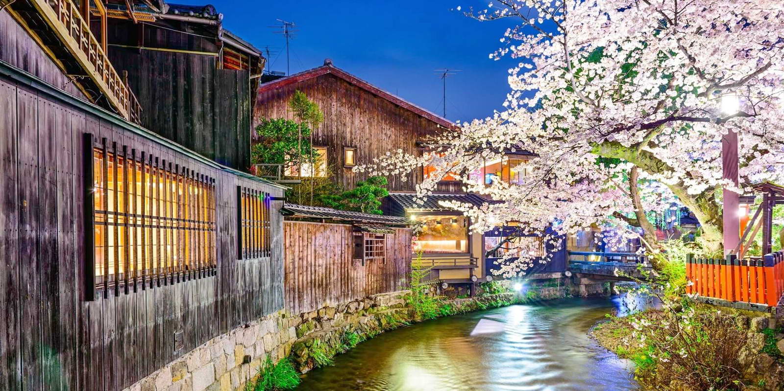 Япония - едем в марте на цветение сакуры