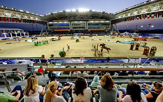 320-Конный центр Al Shaqab