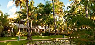 Территория многих отелей сплошная пальмовая роща