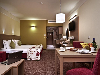  Номер Делюкс-студио в отеле FLAMINGO GRAND 5*