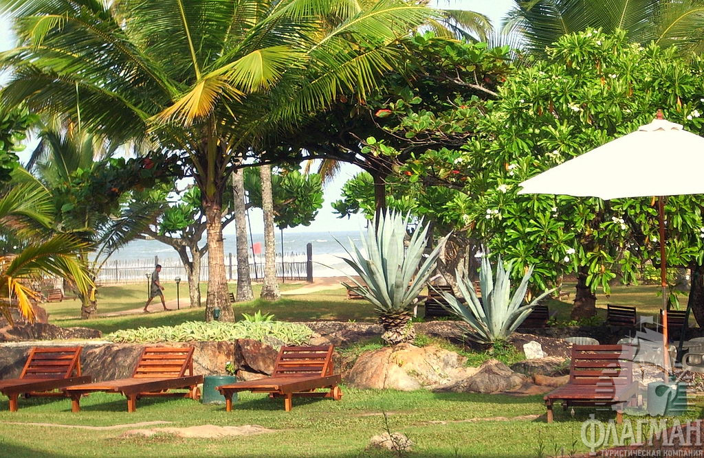 Пляж отеля Bentota Beach.