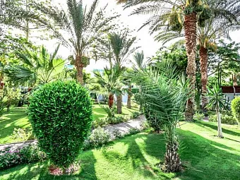  Отель SULTAN GARDENS RESORT 5*, Египет, Шарм-Эль-Шейх.