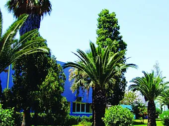 Отель CARIBBEAN WORLD MONASTIR 4*