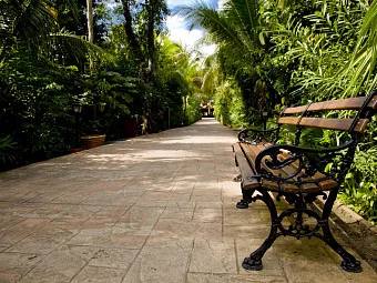 Отель CATALONIA PLAYA MAROMA 4*