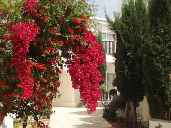  Отель AKTI BEACH VILLAGE RESORT (Cat. A) 4*
