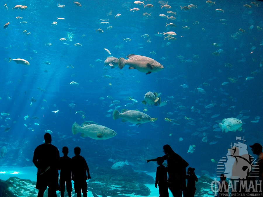 Морской аквариум в Протарасе