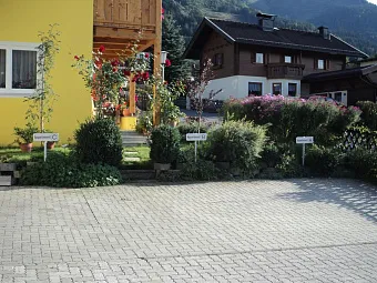 Отель GOTTHARDT APARTMENTHAUS 3*