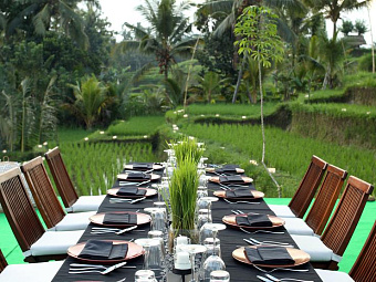 ALILA UBUD 4+*