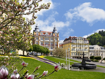  Отель DANUBIUS HEALTH SPA RESORT HVEZDA 4+*