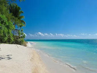 Отель CASUARINA RESORT & SPA 3*