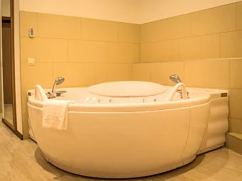 Отель БАГАТЕЛЬ 4*