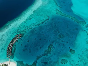 AVANI+ FARES MALDIVES RESORT 5*, Мальдивы, Баа Атолл