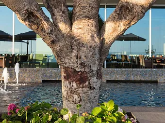 Отель SAVOY SACCHARUM HOTEL RESORT & SPA 5*