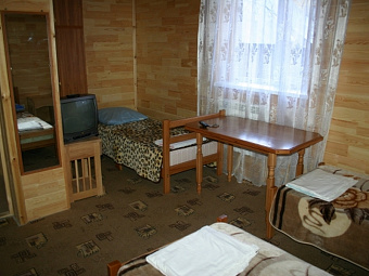 ТАУЛУ 3*