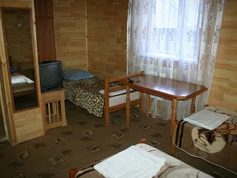 ТАУЛУ 3*