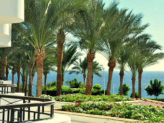 JAZ FANARA RESORT & RESIDENCE 4*