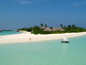 COCO PALM DHUNI KOLHU 4+*