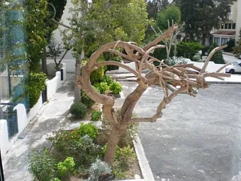 Отель PAPHOS GARDENS HOTEL 3*