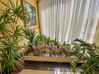 Отель STAMATIA 3*, Кипр, Айя-Напа.