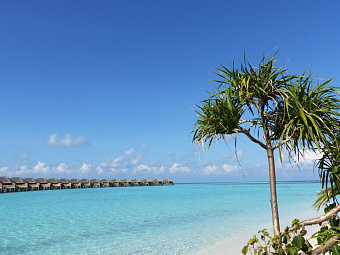 VAKKARU MALDIVES 5*