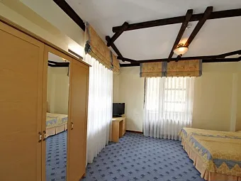  ОЗОН 7 ВЕРШИН 4*