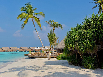   MILAIDHOO ISLAND MALDIVES 5*