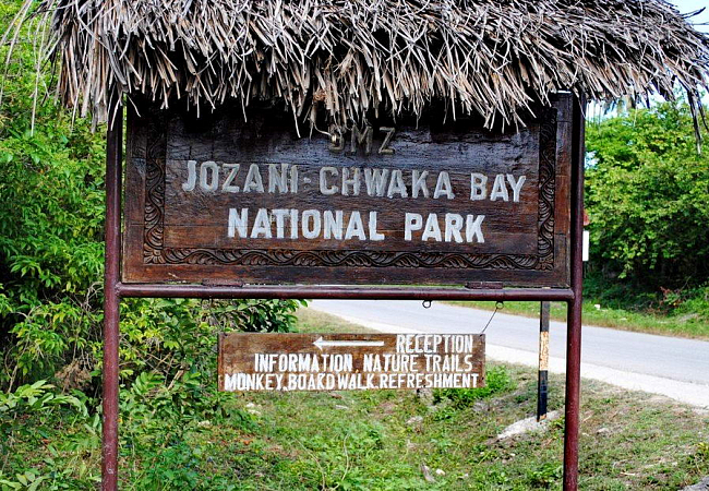 Национальный парк Лес Джозани - крупных зверей здесь нет