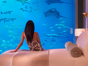 Neptune and Poseidon Underwater Suites.  ATLANTIS THE PALM 5*