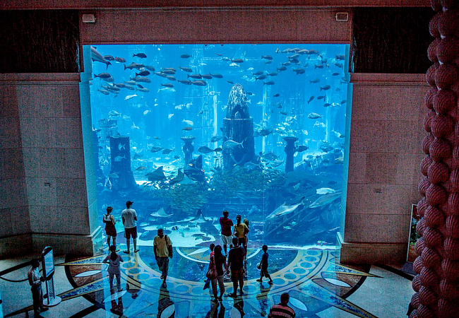 Морской аквариум в отеле Atlantis The Palm 5*