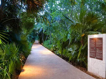 Отель CATALONIA PLAYA MAROMA 4*