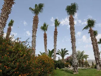 ASCOS CORAL BEACH 4*