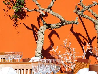 FONT D`ARGENT CANILLO 4*