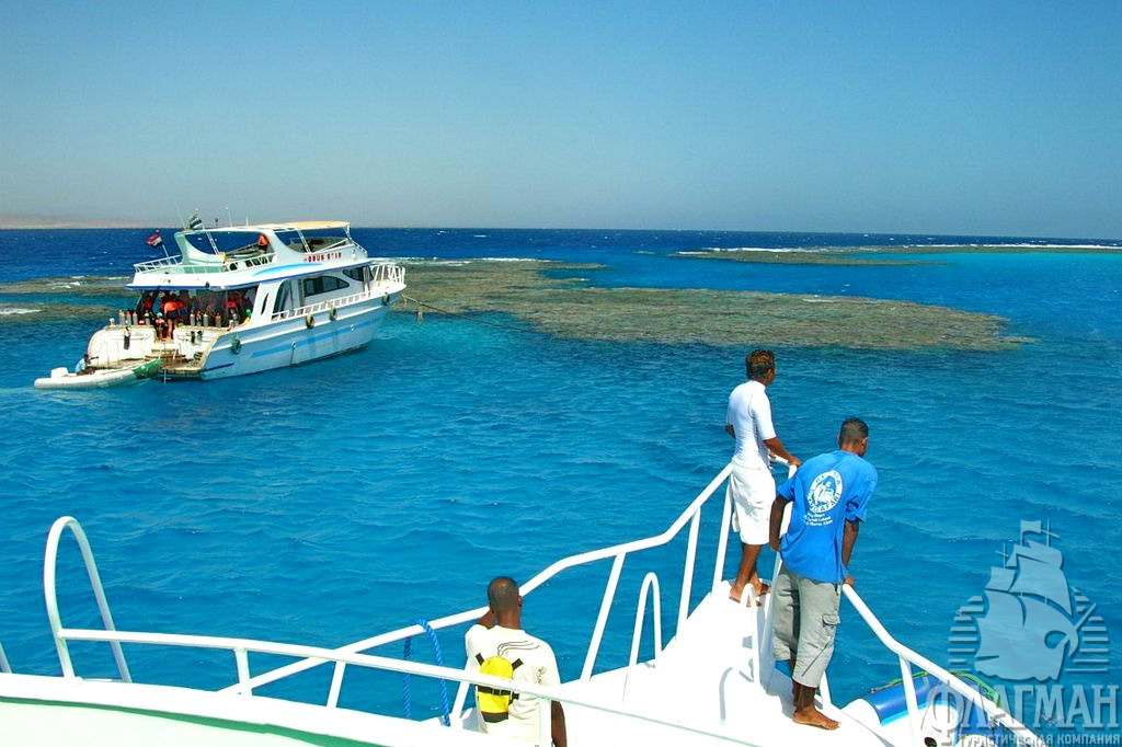  На dive safari
