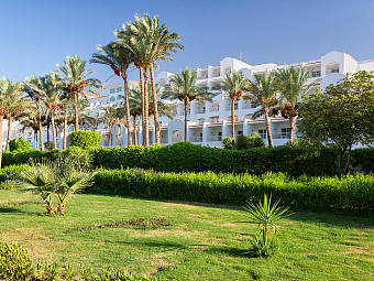 SIVA SHARM RESORT & SPA 5*