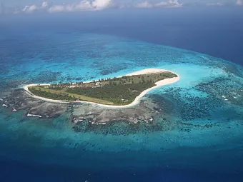 Отель BIRD ISLAND LODGE 3*