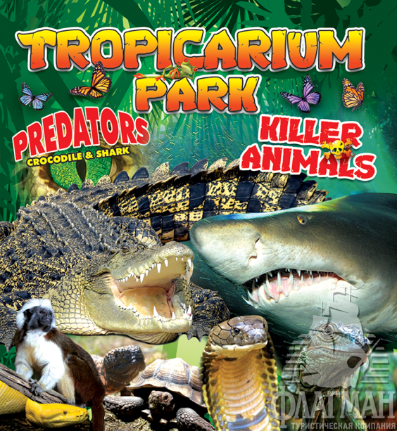 Парк Тропиканум приютил сотни видов животных.